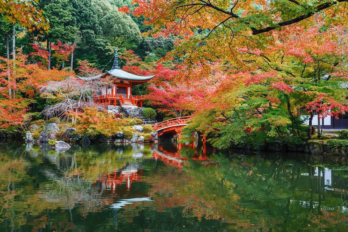 Lá Phong tokyo